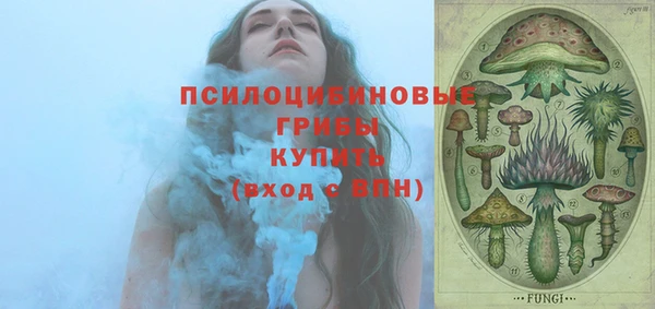 первитин Армянск