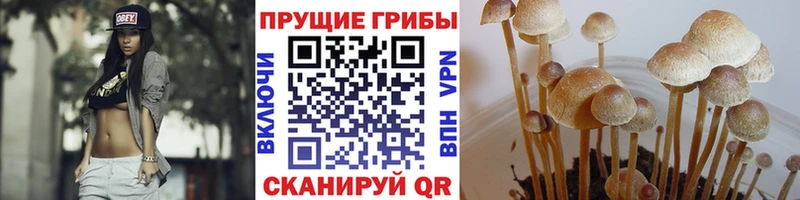 blacksprut   Салават  Галлюциногенные грибы мухоморы 